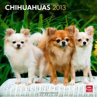 Chihuahuas 2013   Original BrownTrout Kalender BrownTrout