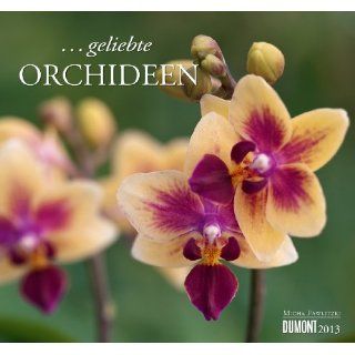 geliebte Orchideen 2013 Micha Pawlitzki Bücher