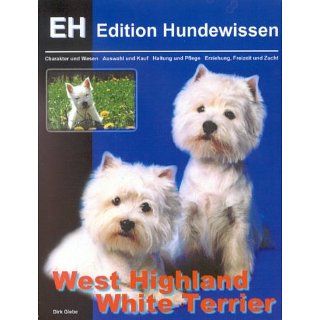 West Highland White Terrier: Charakter und Wesen, Auswahl und Kauf