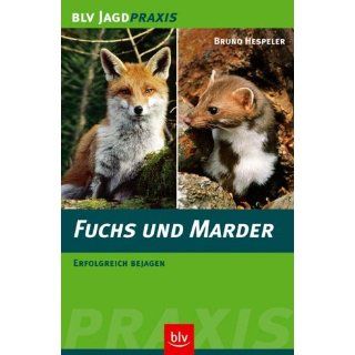 Fuchs und Marder Erfolgreich bejagen Bruno Hespeler