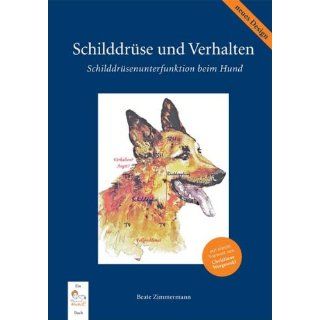 Schilddrüse und Verhalten Schilddrüsenunterfunktion beim Hund