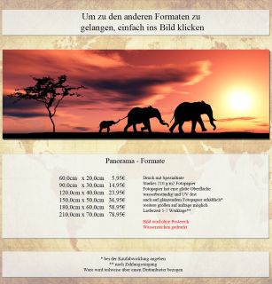 Poster Panorama, Tiere 06, Elefanten Elefant Afrika Asien Savanne