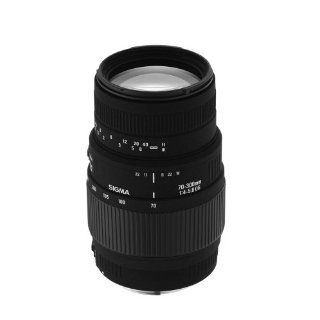 Sigma AF 70 300/4 5,6 DL Macro Super Objektiv für Canon 