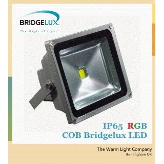 50W im Freien IP65 Wasserdicht COB RGB LED Fernsteuerung Farbwechsel