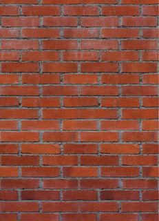 Fototapete STONE WALL 183x254 Mauer Wand Ziegelsteine Ziegelmauer