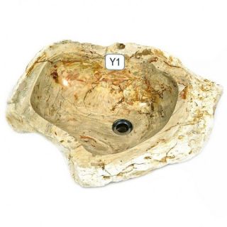 Waschbecken Aufsatz Fossil Holz Stein Bad Gaeste WC Sanitaer