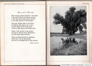 Der Baum im Bilde der Landschaft, Verlag Der eiserne Hammer um 1940