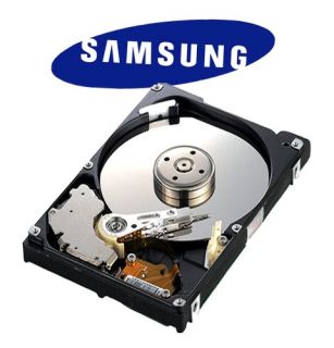 320 GB 2,5 SAMSUNG Festplatte Notebook HDD SATA 320GB 0683728219123