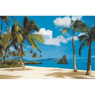 Inseln   Palmenstrand, Hawaii, 8 teilig Fototapete Poster Tapete (388