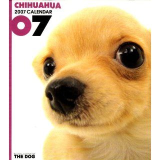 Chihuahua 2007 Calendar (Artlist Collection: The Dog): 