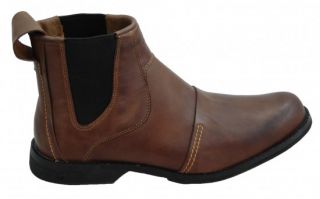 TIMBERLAND Schuhe Chelsea Boots Stiefel Herren Leder Shoes Eathkeepers