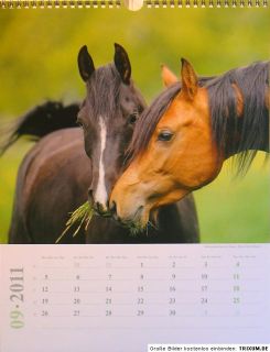 PFERDE Kalender 2011, Pferdekalender, Pferde Kalender