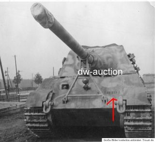 Jagdtiger Tank Tiger mit Nummer von der schw. Panzer Jg. Abt. 653 TOP