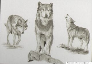 Sketching   Skizzieren   Malen mit Bleistift   Wolf   Wölfe Größe