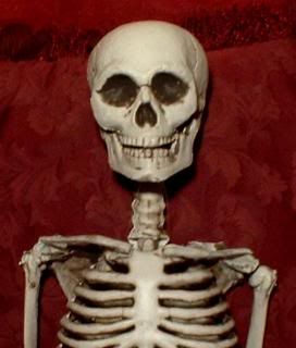 36 Skeleton Ventriloquist Dummy puppet doll figure Halloween skull