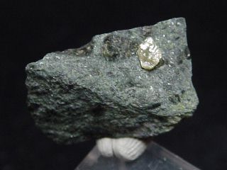 Diamant Kristall in Kimberlit   Stufe Diamantstufe 18 mm   Südafrika