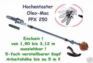 Hochentaster Oleo Mac PPX 250 Motorsäge Baumpflege