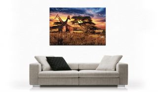 Afrika v2 Giraffen, Leinwand Bild auf Keilrahmen, M, Kunstdruck