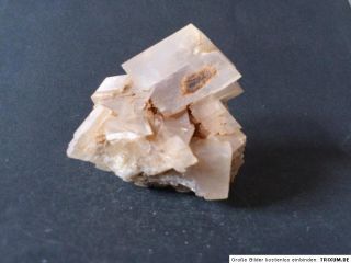 Brilon, Sauerland +++ Super Stufe  +++ calcite Mineralien 880