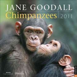 Jane Goodall Chimpanzees 2011 Calendar (Calendar)