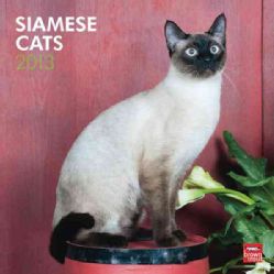 Siamese Cats 2013 Calendar (Calendar)