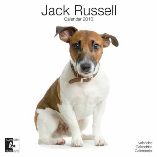 Jack Russell 2010 Calendar
