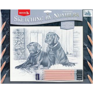 Black Labrador Sketching By Number Kit (13 x 16) Today $10.89