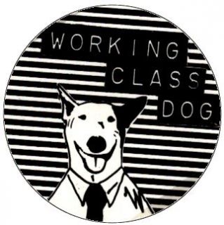 Rick Springfield   Working Class Dog (Dog In Suit on
