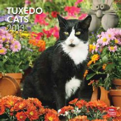 Tuxedo Cats 2013 Calendar (Calendar)