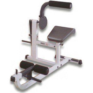 Multisports Pro ROM Series Ab / Back Machine with Bearings