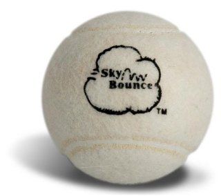 Sky Bounce 6514 Tennis Ball White   12 Count Sports