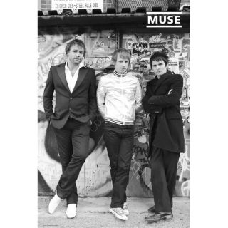 Poster Muse tour (Maxi 61 x 91.5cm)   Achat / Vente TABLEAU   POSTER