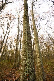 Summit Treestands Swift Tree 22 Feet DTS Climbing Sticks
