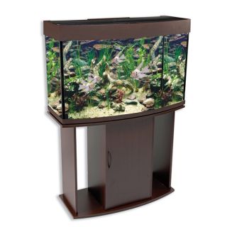 North Star Bow Front 58 gallon Aquarium and Stand