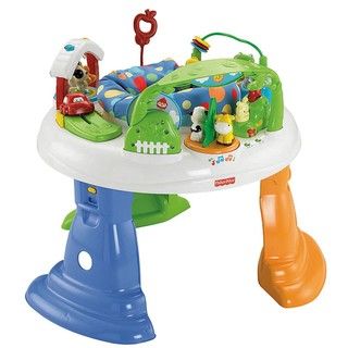Fisher Price Twirlin Whirlin Entertainer