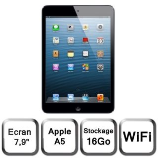 Apple iPad mini Wi Fi 16 Go noir & ardoise   Achat / Vente TABLETTE