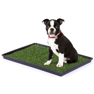 Prevue Pet Products Tinkle Turf for Small Dog Breeds