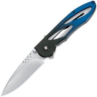 Buck 295BL Tempest, Assisted Opening, Liner Lock Folding