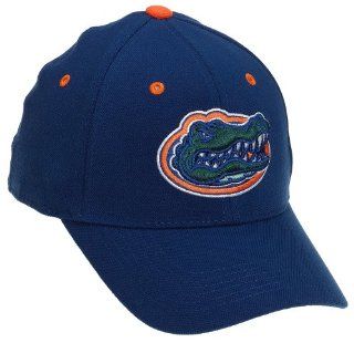 Florida Gators Adult One Fit Hat Clothing