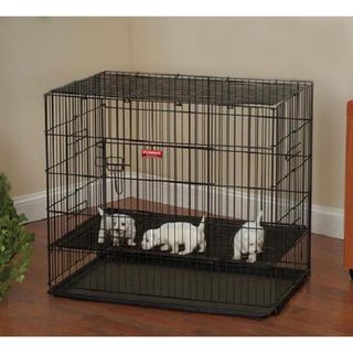 ProSelect Medium Puppy Playpen with Puppy Pads
