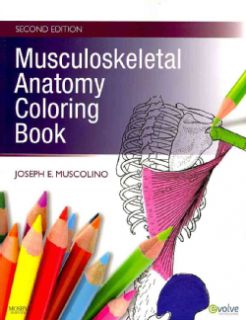 Musculoskeletal Anatomy Coloring Book (Paperback) Today: $35.09