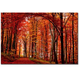 Philippe Sainte Laudy The Red Way Canvas Art