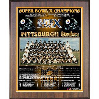 Healy Pittsburgh Steelers Super Bowl X Champions Team