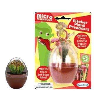 Micro Terrariums   Pitcher Plant Predators