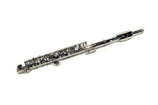 School Band Nickel plated Piccolo with Case Today $159.99