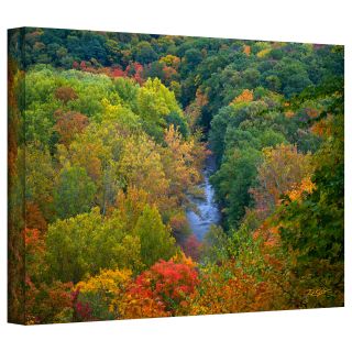 David Liam Kyle Autumn Stream Gallery Wrapped Canvas Today: $49.99