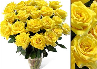 125 Yellow Wedding Roses
