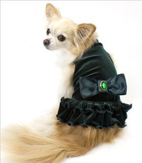 Velvet Jewel Dress for Dogs   Green   XS (8   10 length