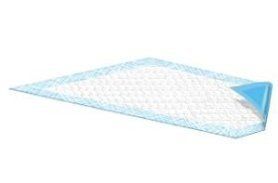 Blue Disposable Underpads (Chux), Small Size 17 x 24, Case