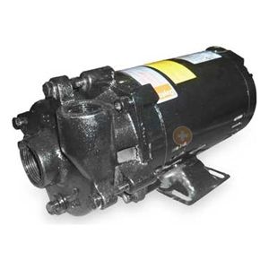Dayton 2ZWP6 Centrifugal Pump, 1 HP, 3 Ph, 208 230/460V